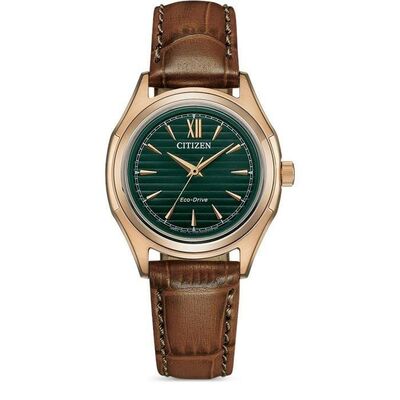 Cıtızen Fe2113-16X