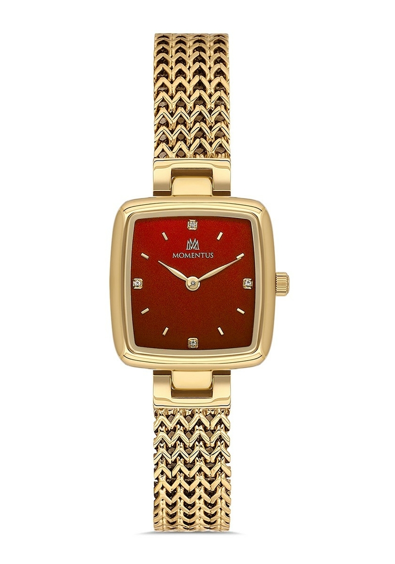 Momentus Women's Shiny SS397G-14SG