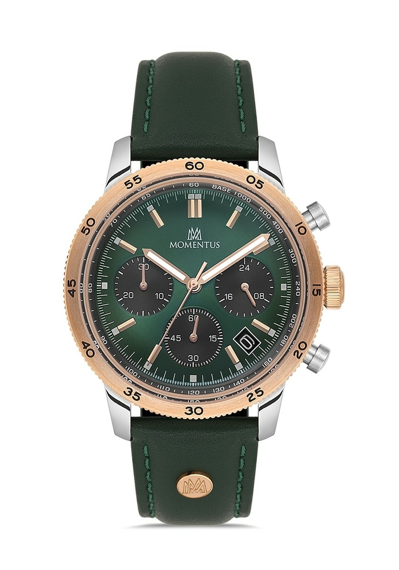 Momentus Men's Time Master CC303T-15YR