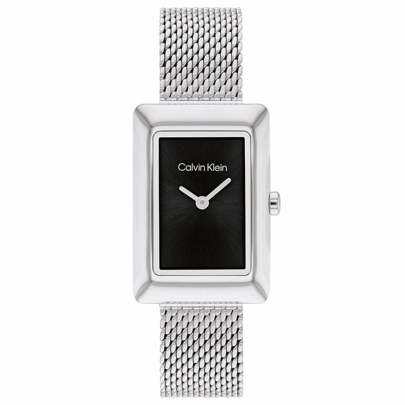 Calvin Klein Ck25200399 Kadın Kol Saati