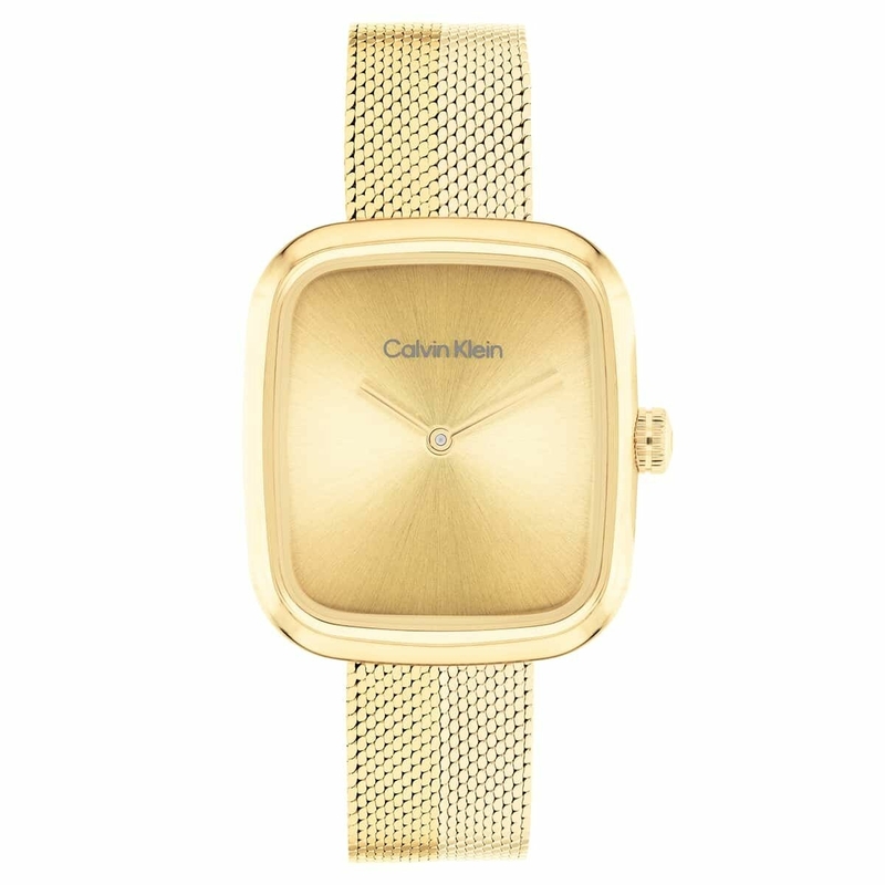 Calvin Klein CK25100099 Kadın Kol Saati