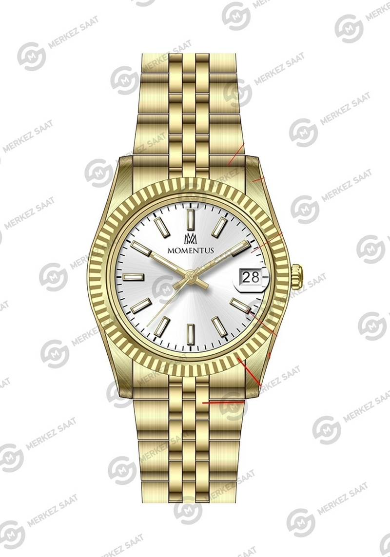Momentus Women's Classy CW132G-02SG