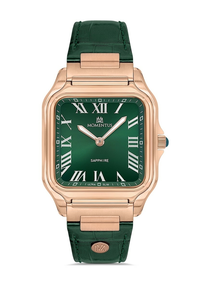 Momentus Men's Crown Master EM348R-15YR