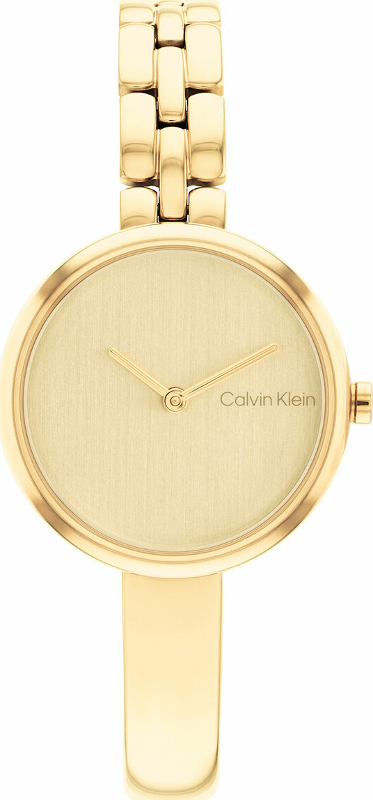 Calvin Klein CK25200279 Kadın Kol Saati