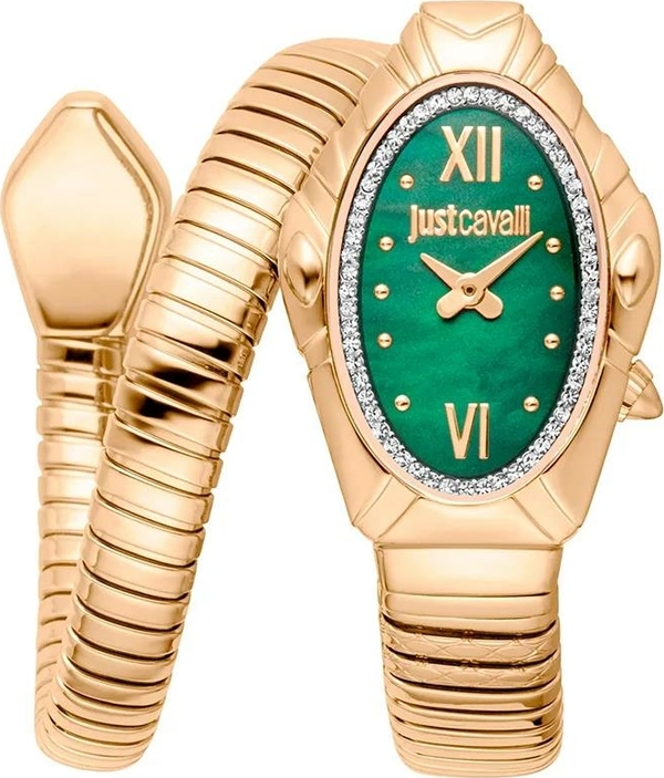 Just Cavallı Jc1L357M0035 Kadın Kol Saati