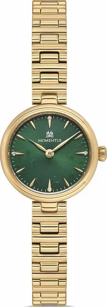 Momentus Cw313G-15Sg