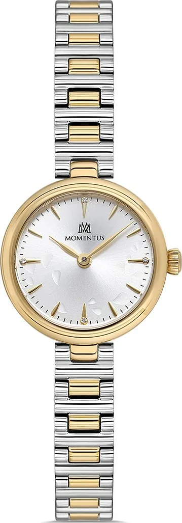 Momentus Cw313T-09Sg