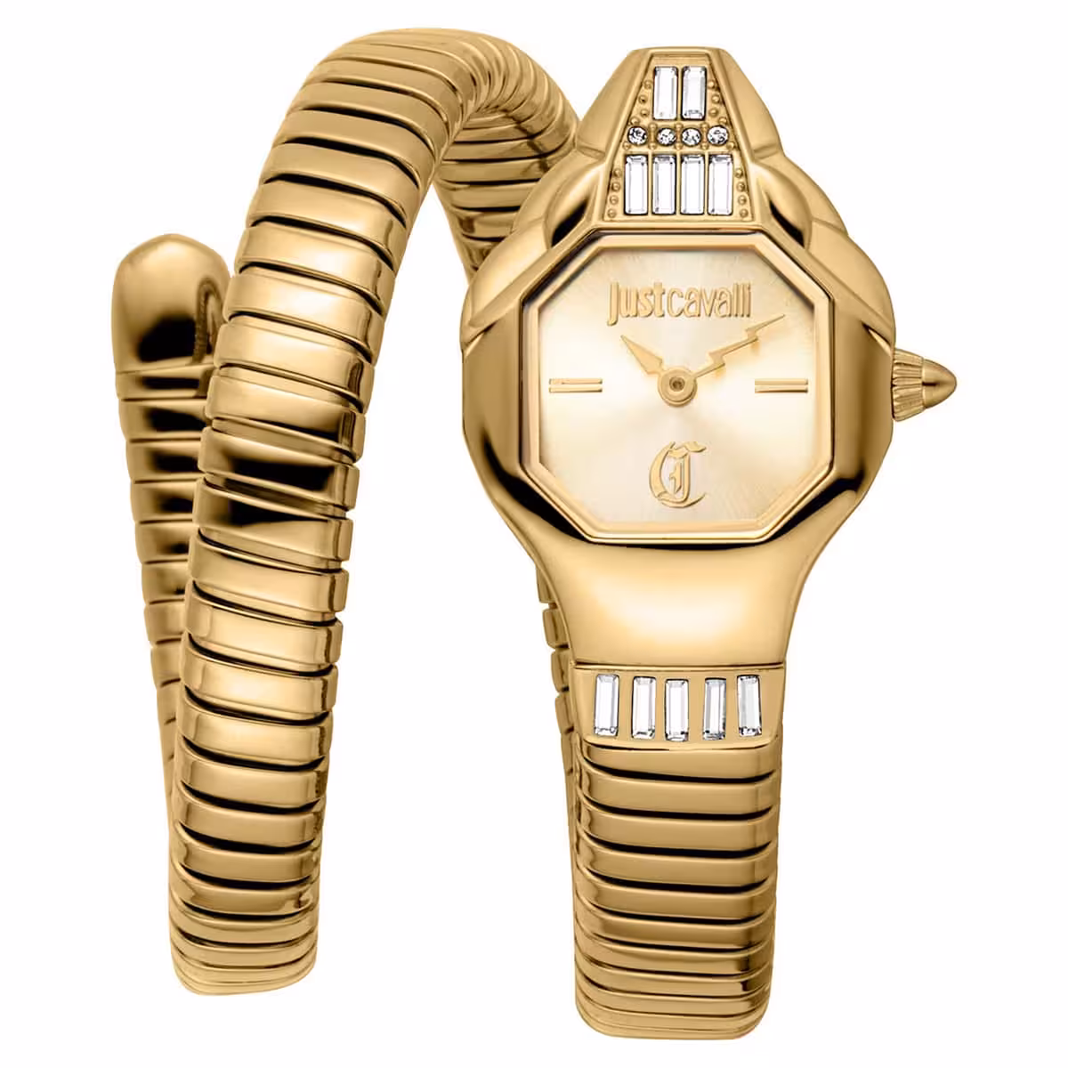 Just Cavalli JC1L326M0025 Kadın Kol Saati