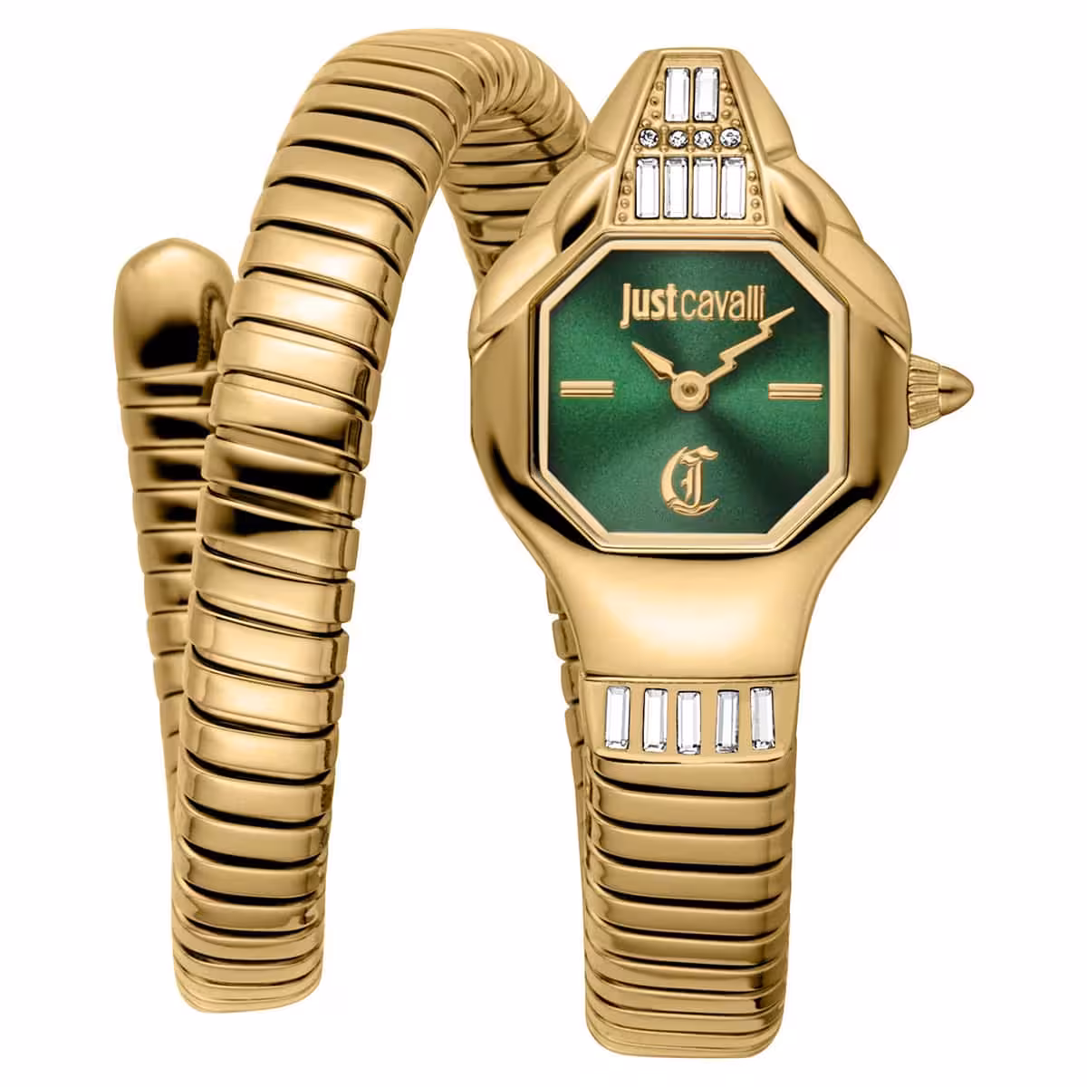 Just Cavalli JC1L326M0035 Kadın Kol Saati