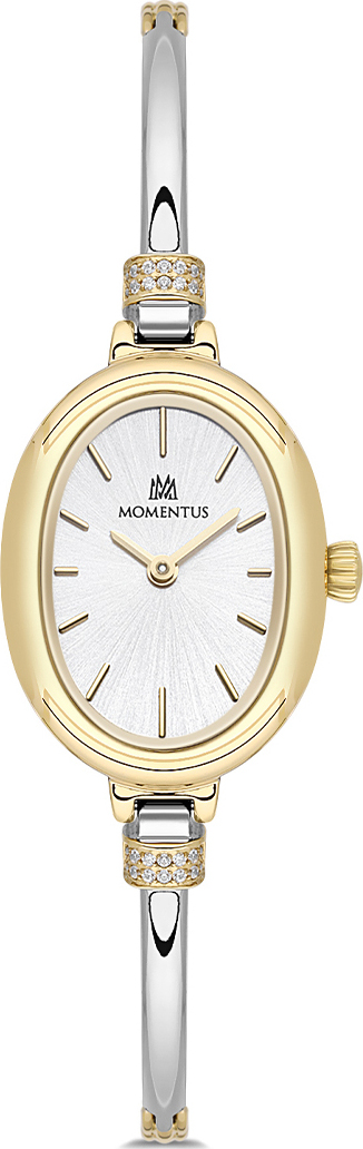 Momentus SW294T-02SG
