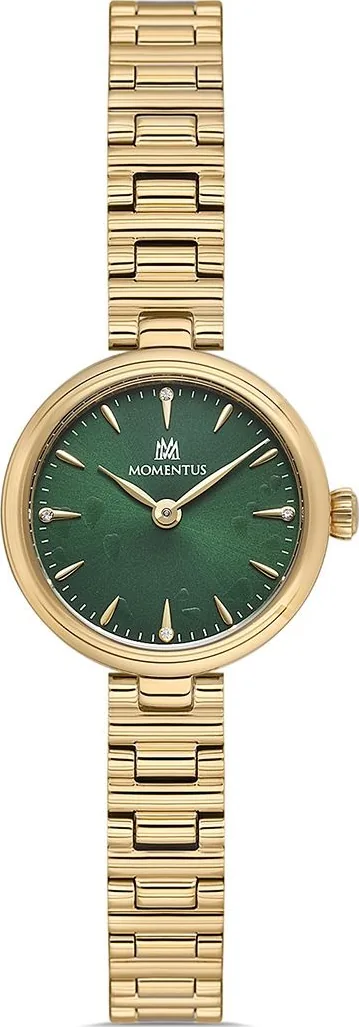 Momentus Cw313G-15Sg