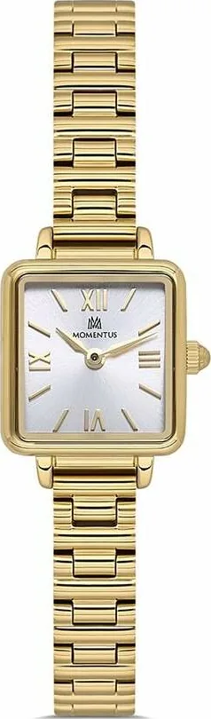 Momentus Cw312G-02Sg