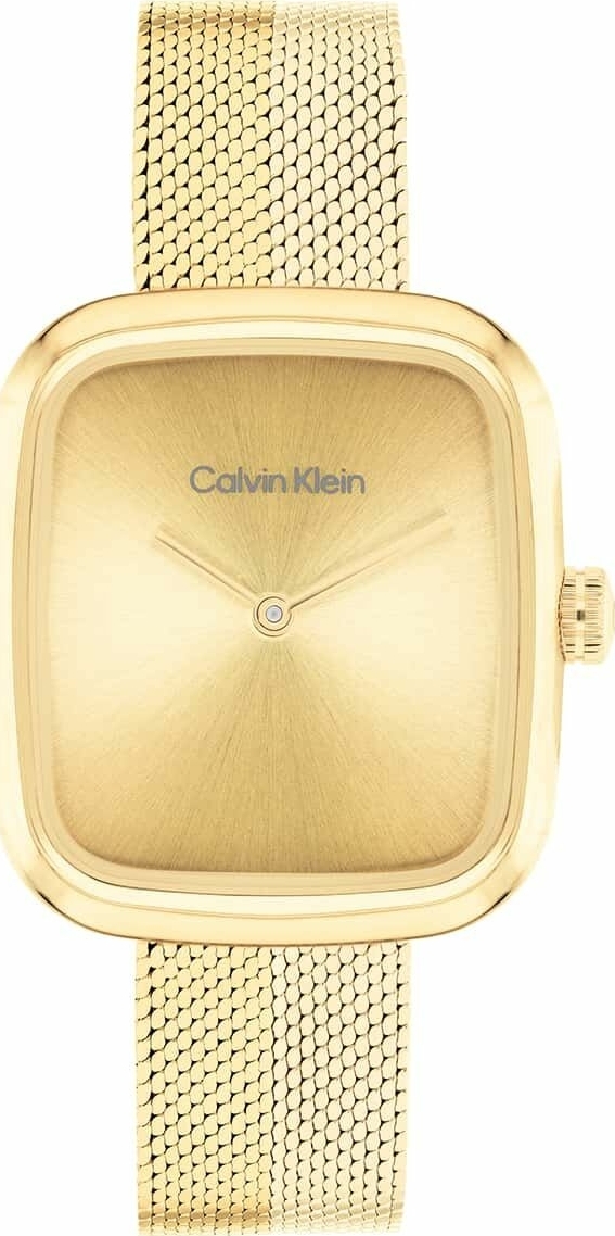 Calvin Klein CK25100099 Kadın Kol Saati