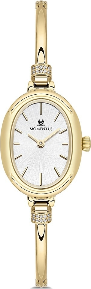 Momentus SW294G-02SG