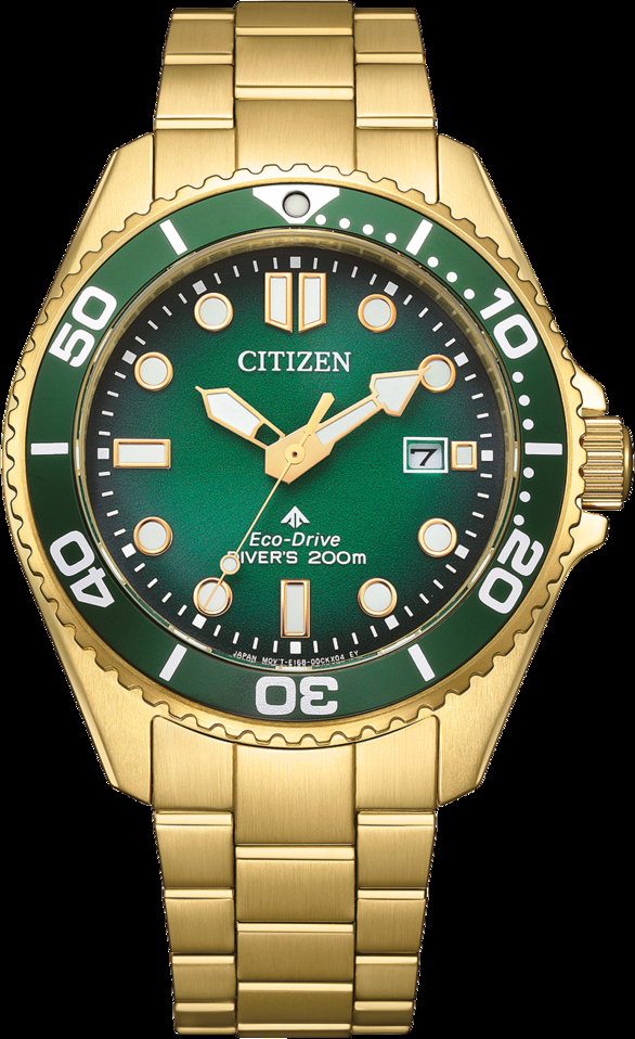 Cıtızen Bn0262-59W