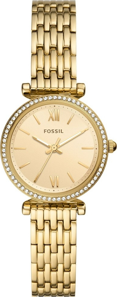 Fossil FES5309 Kadın Kol Saati