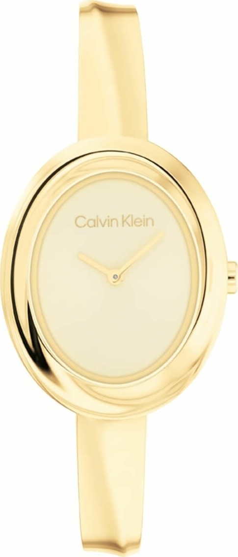 Calvin Klein Ck25100056 Kadın Kol Saati