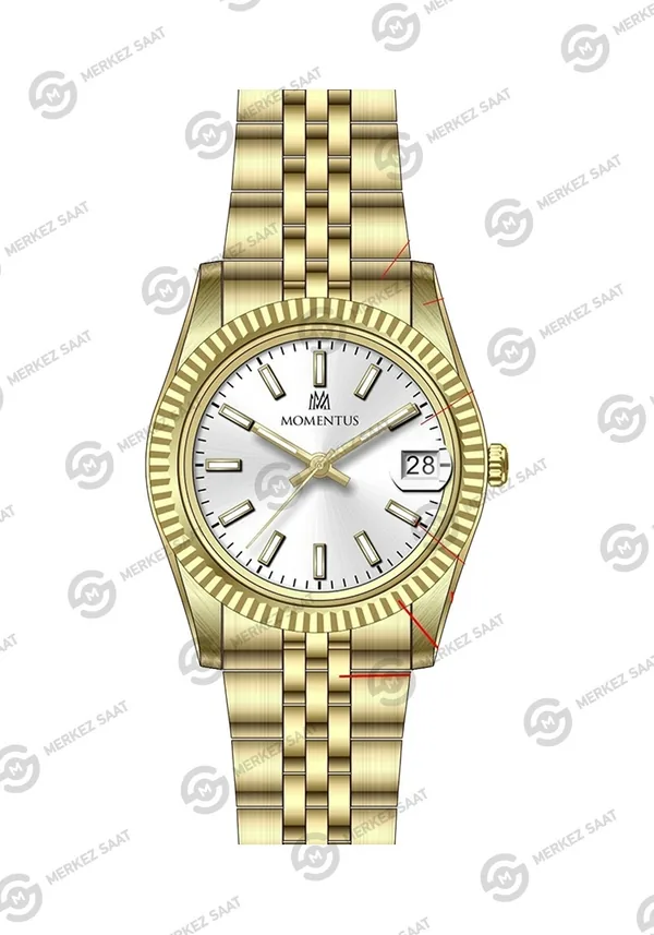 Momentus Women's Classy CW132G-02SG